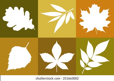Vector template of leaves