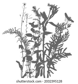 Vector template with leaves and plants monochrome silhouettes, floral background
