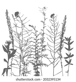 Plantilla vectorial con hojas y plantas siluetas monocromáticas, fondo floral
