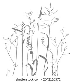 Vector template with leaves and plants monochrome silhouettes, floral background
