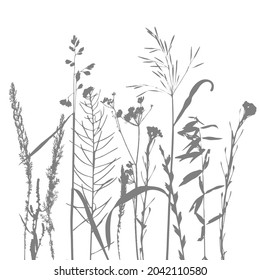 Plantilla vectorial con hojas y plantas siluetas monocromáticas, fondo floral
