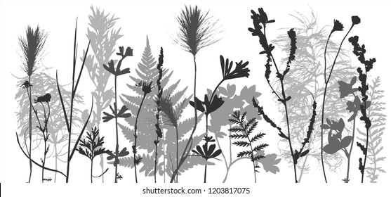 Plantilla vectorial con siluetas de hojas y plantas, fondo floral