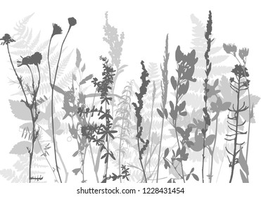 Vector template with leaves and plants silhouettes, floral background