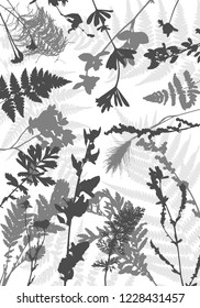 Vector template with leaves and plants silhouettes, floral background