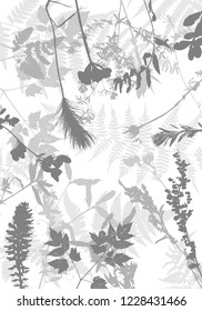 Vector template with leaves and plants silhouettes, floral background