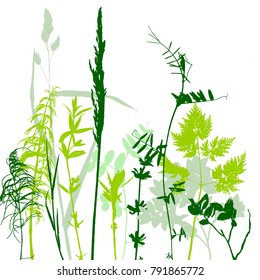 Vector template with leaves and plants silhouettes, floral background