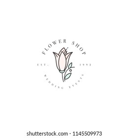 Logo o emblema de la plantilla vectorial - evento de boda - harebell floral . Logotipo en estilo lineal moderno