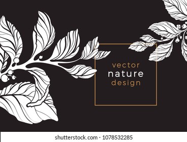 Vector template for luxury packing. Tropic aroma nature. Organic drink. Vintage floral card of mate branch, leaf, flower, berry. Art design, sketch floral shape on black background for label, poster 