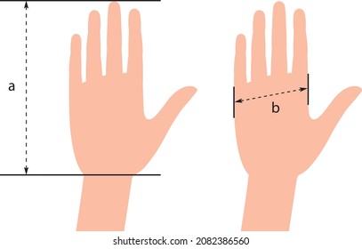 Vector Template for measuring hands. Glove Sizing Charts. Template for measuring gloves. 