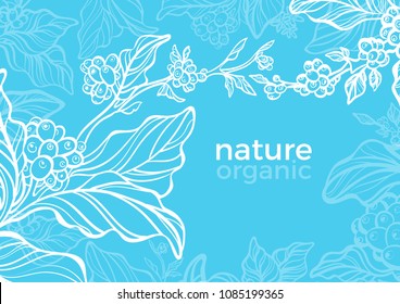 Vector template for nature packing. Tropic aroma plant. Natural scrub Organic tree. Vintage floral card of coffee branch, leaf, bean, berry. Art design, line sketch, sky background for label, banner 