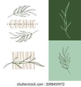 Plantilla vectorial de naturaleza orgánica. Logo simple dibujado a mano con hojas silvestres.