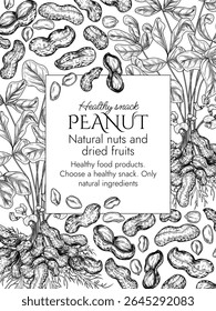 Vector template with peanut bush  in engraving style. Graphic banner with groundnut. Frame with growing healthy snack. Nuts in shell and cut. Peanut butter