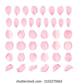 Vector template of sakura petal of various shapes on a white background. Realistic voluminous sakura petals. Close-up for romantic cards