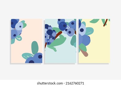 vector template set with blueberries