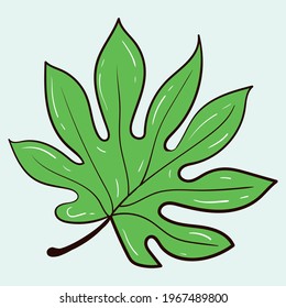 Vector template set of plants and flowers. Aralia leaf. Stock illustration.