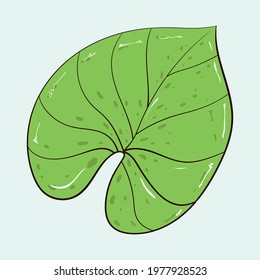 Vector template set of plants and flowers. Tropical lotus leaf. Stock illustration.