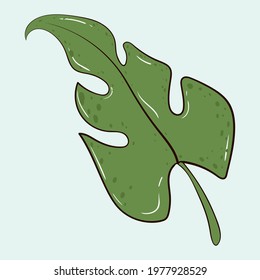 Vector template set of plants and flowers. Tropical leaf. Stock illustration.