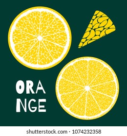Vector Template with Slice of Lemon. Citrus Fruit Icon. Stylized Flesh of Lemon in Hipster Style. Delicious Citrus Fruit for Illustration, Advertizing, Card.