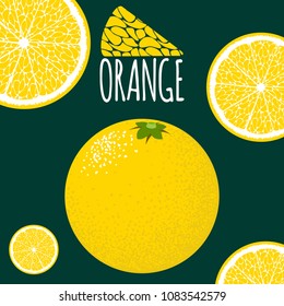 Vector Template with Slice of Lemon. Citrus Fruit Isolated. Stylized Flesh of Lemon in Hipster Style. Delicious Citrus Fruit for Illustration, Advertizing, Card, Marketing.