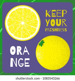 Vector Template with Slice of Lemon. Citrus Fruit Isolated. Stylized Flesh of Lemon in Hipster Style. Delicious Citrus Fruit for Illustration, Advertizing, Card, Marketing.