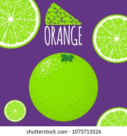 Vector Template with Slice of Lime. Citrus Fruit Isolated. Stylized Flesh of Lime in Hipster Style. Delicious Citrus Fruit for Illustration, Card, Marketing, Advertising.