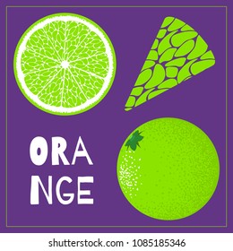 Vector Template with Slice of Lime. Citrus Fruit Isolated. Stylized Flesh of Lime in Hipster Style. Delicious Citrus Fruit for Illustration, Advertizing, Card, Marketing.