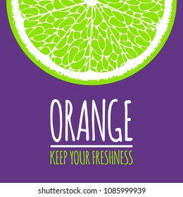 Vector Template with Slice of Lime. Citrus Fruit Isolated. Stylized Flesh of Lime in Hipster Style. Delicious Citrus Fruit for Illustration, Advertizing, Card, Marketing.