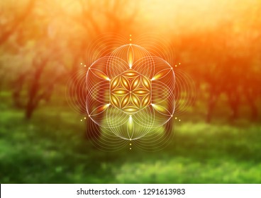 Vector template; Spiritual sacred geometry; Abstract geometric shape based on ancient symbol - "flower of life" on psychedelic natural photographic background; Yoga, meditation and relax.
