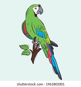 Vector template of a tropical bird on a branch. Green macaw parrot. Stock illustration.