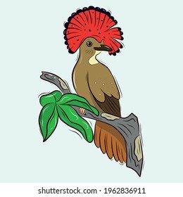 Vector template of a tropical bird on a branch. A fly-eating bird with a red tuft. Stock illustration.