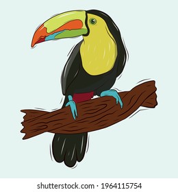 Vector template of a tropical bird on a branch. A toucan bird with a multicolored beak. Stock illustration.