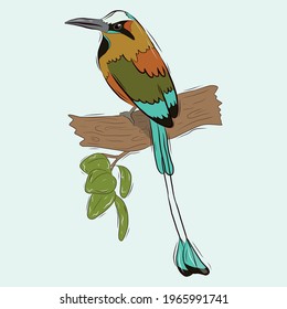 Vector template of a tropical bird on a branch. The bird is a brown mole with bright plumage and a long tail. Stock illustration.