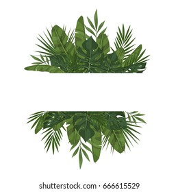 Vector template with tropical leaves. Trendy summer tropical concept. Element of the jungle for the design of invitations, greeting cards etc.