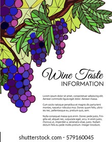 a vector template; vine with hanging grapes as a background for a banner, leaflet, menu, poster, a hand drawn illustration,  in a sketchy style with bright colors