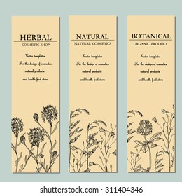 Vector template vintage floral label with hand-draw wild flowers and herbs. Layout, mockup design for cosmetics, store, beauty salon, natural and organic products