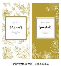 Vector template with vintage graphic illustrations. Spice plants design with handdrawn illustration. set of frames. graphic background 