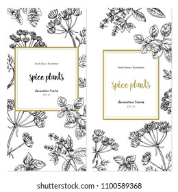 Vector template with vintage graphic illustrations. Spice plants design with handdrawn illustration. set of frames. graphic background 