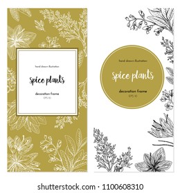 Vector template with vintage graphic illustrations. Spice plants design with handdrawn illustration. set of frames.graphic background 