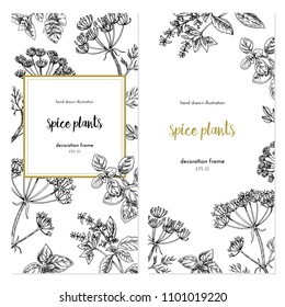 Vector template with vintage graphic illustrations. Spice plants design with handdrawn illustration. set of frames.graphic background 