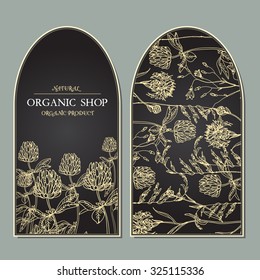 Vector template vintage label with hand-draw wild flowers and herbs. Layout, mockup design for cosmetics, store, label, natural and organic products