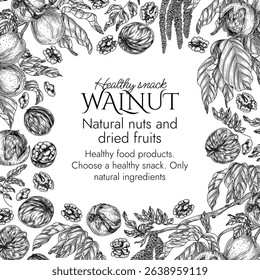 Vector template with walnut branch in engraving style. Graphic banner with forest nuts on tree. Frame with growing healthy snack. Nuts in shell and cut