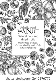 Vector template with walnut branch in engraving style. Graphic banner with forest nuts on tree. Frame with growing healthy snack. Nuts in shell and cut