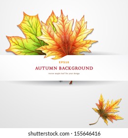 Vector template. White panel of paper and autumn maple leaves. Hand-drawing watercolor colored pencils. Place for your text.