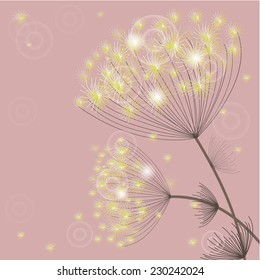 vector tender spring or summer flowers on a light background