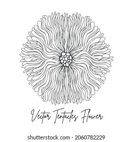 Vector Tentacles Flower Line art - Hand drawn- vector illustration