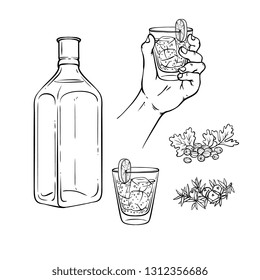 Vector tequila, gin tonic or vodka concept sketch monochrome icon set. Hand holding glass shot toasting, empty bottle, coriander seeds with leaves. Hand drawn alcohol elements for restaurant, bar menu