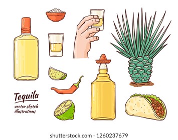 Vector tequila mexican symbols set. Glass bottle of alcohol drink, hand holding shot, line, cactus chili pepper and salt. Mexican traditional drink for party. Isolated illustration