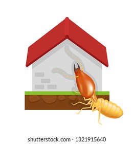 vector termite and cement house isolated on white background, icon insect species termite ant eaten cement home decay, symbol damaged cement house form termite eaten, cartoon termite clip art and home