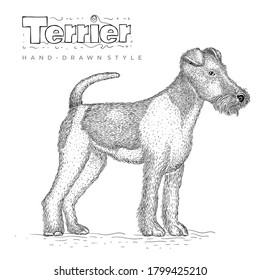 vector de un perro aterrador. ilustración de animales dibujada a mano