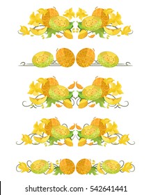 Vector text dividers with melon and flowers in origami style